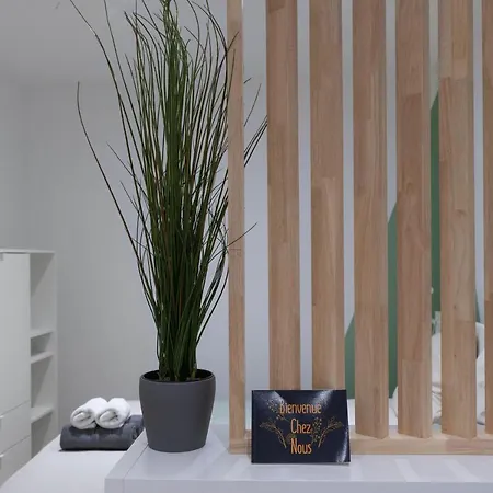 ※perrier Fraise※ Coeur De ⁕ Appt D'exception Apartment Clermont-Ferrand